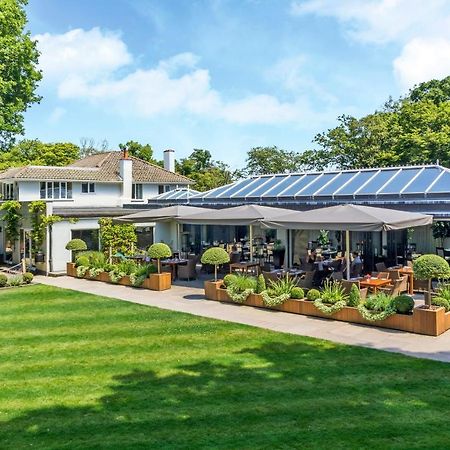 فندق Wickwoods Albourne المظهر الخارجي الصورة